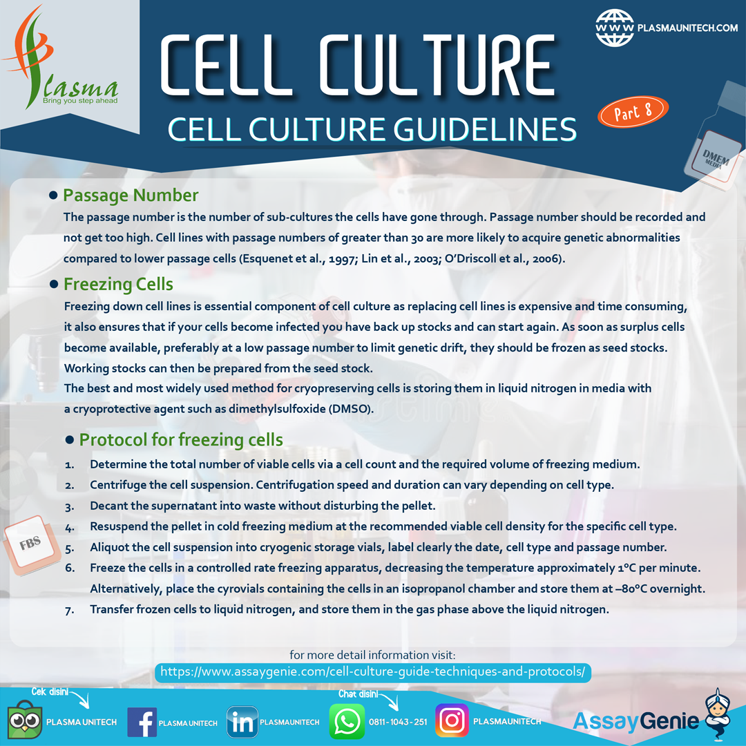 CELL CULTURE - WHAT IS CELL CULTURE? PART 8
